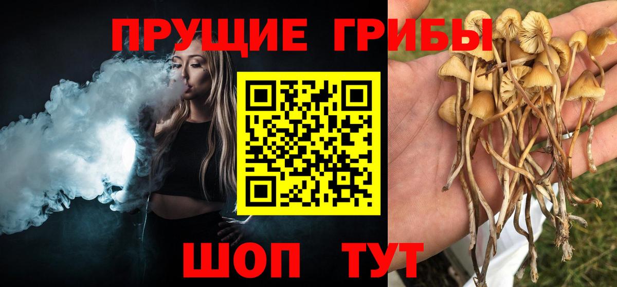 Галлюциногенные грибы мицелий Ивантеевка